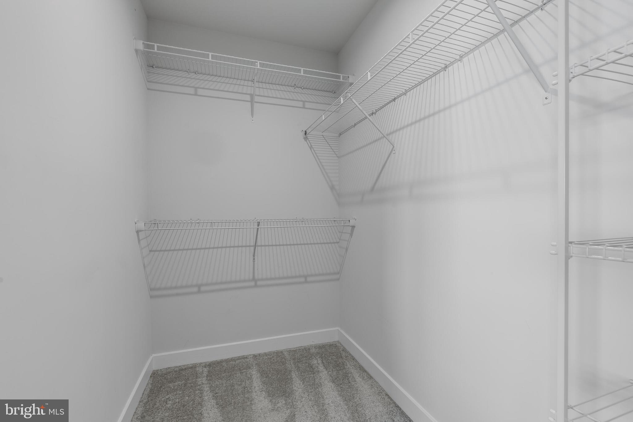 46348 MOUNT KELLOGG TERRACE