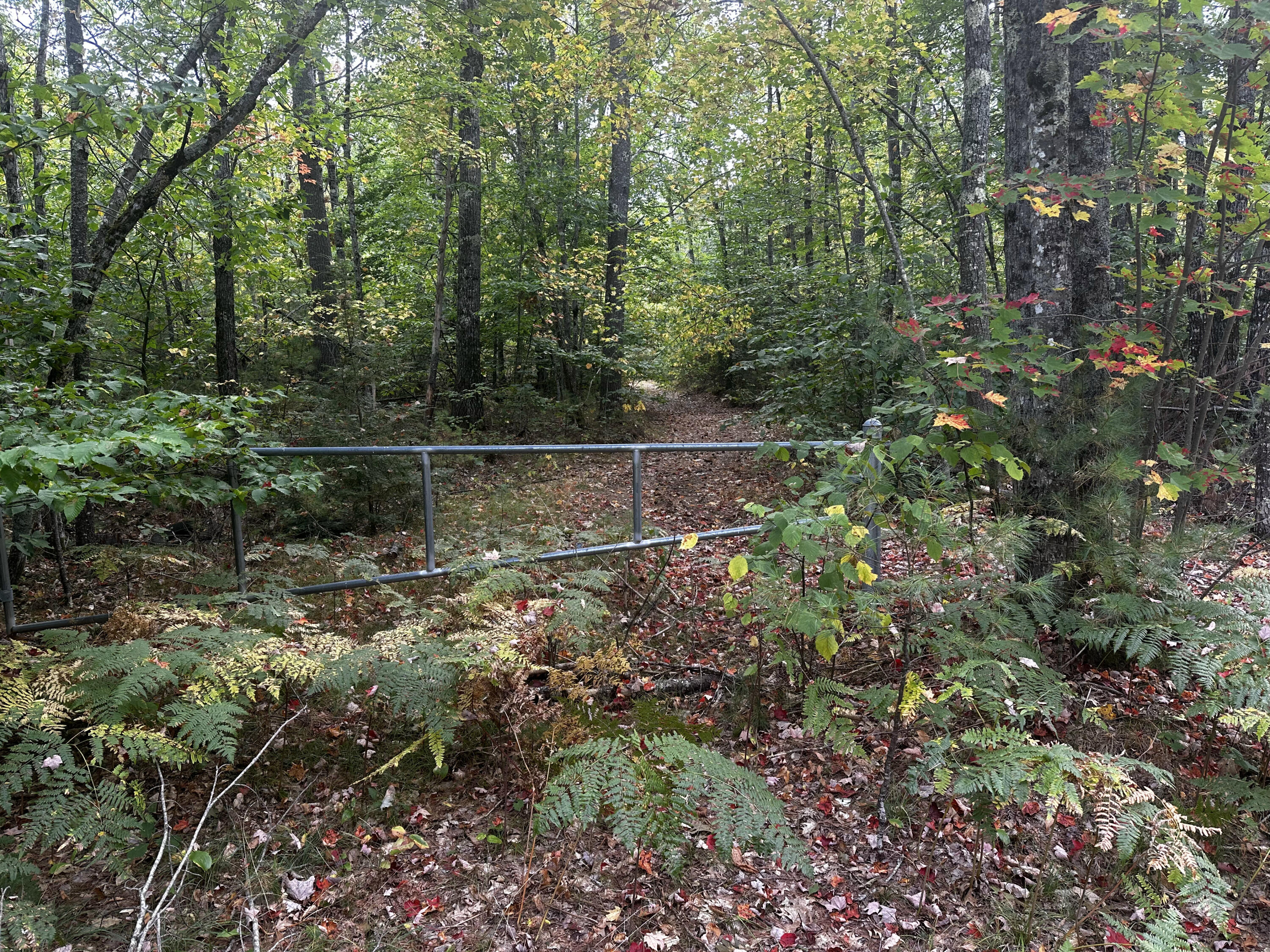 Lot 44-A Pigeon Brook Road