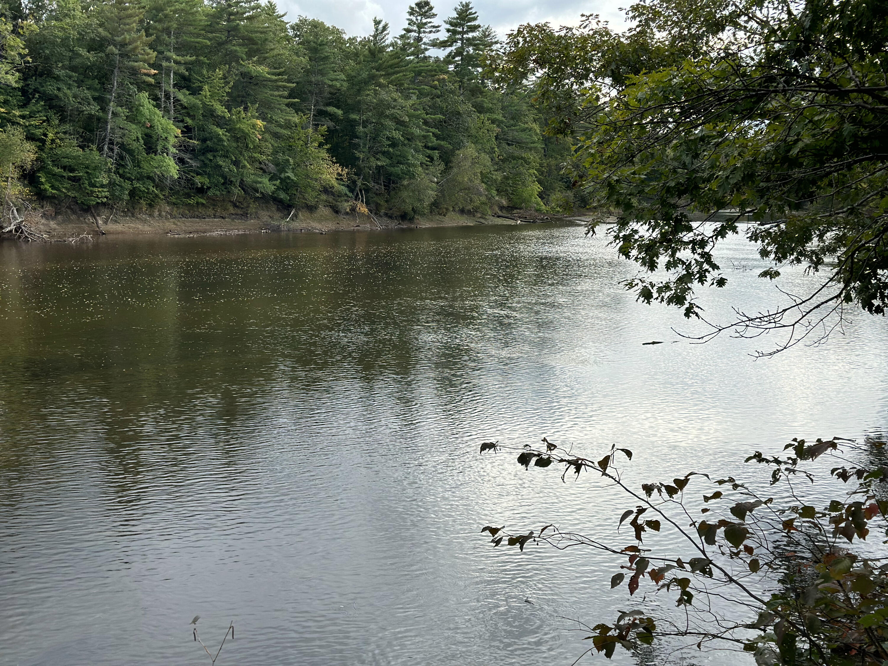 Lot 44-A Pigeon Brook Road