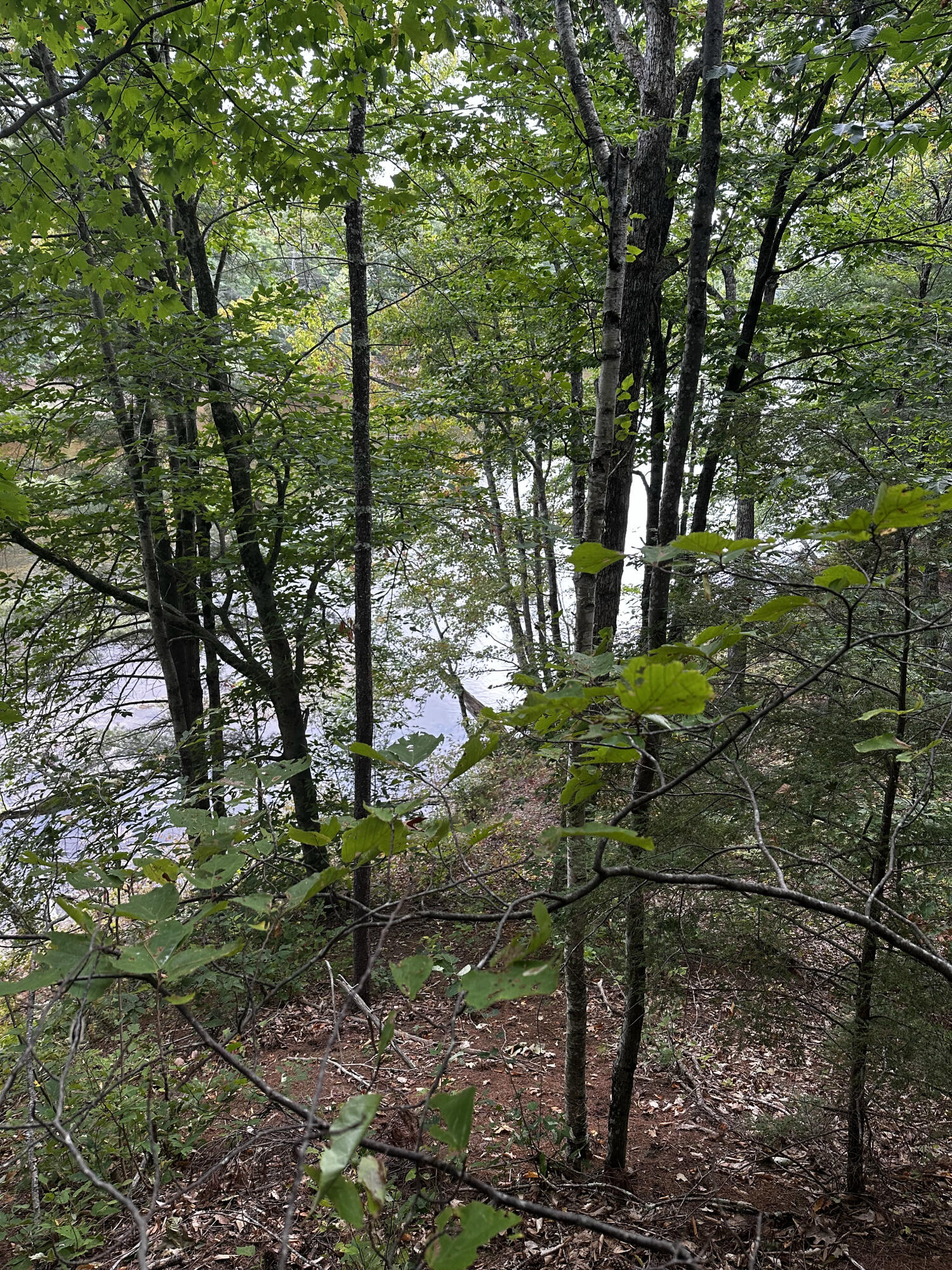 Lot 44-A Pigeon Brook Road