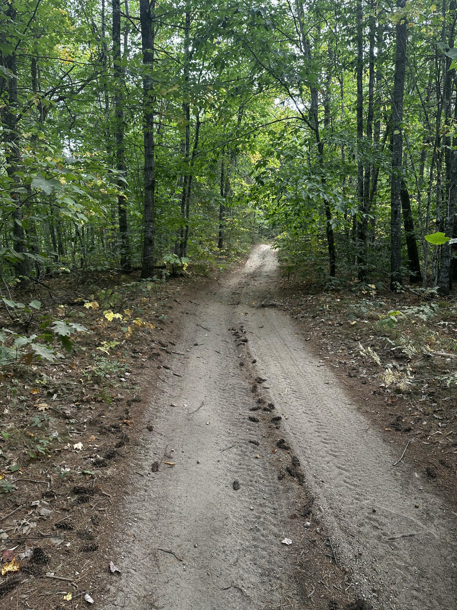 Lot 44-A Pigeon Brook Road