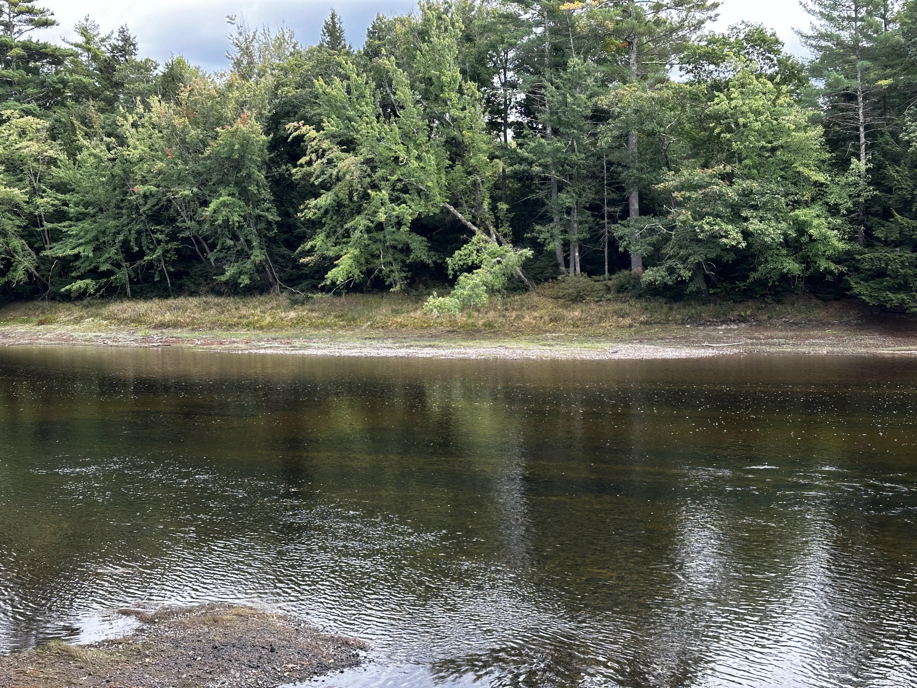 Lot 44-A Pigeon Brook Road