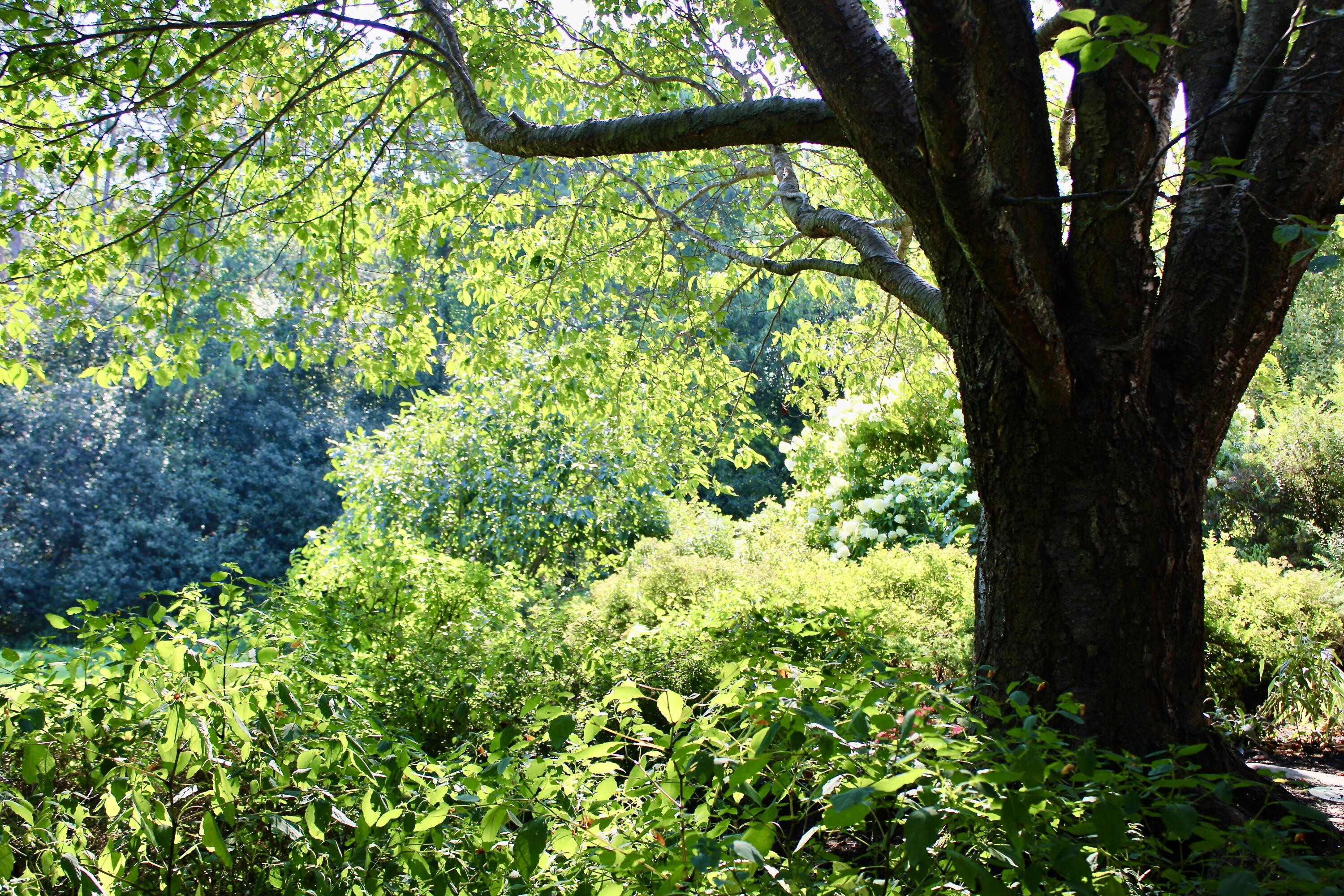 25 Powell Road, Cumberland