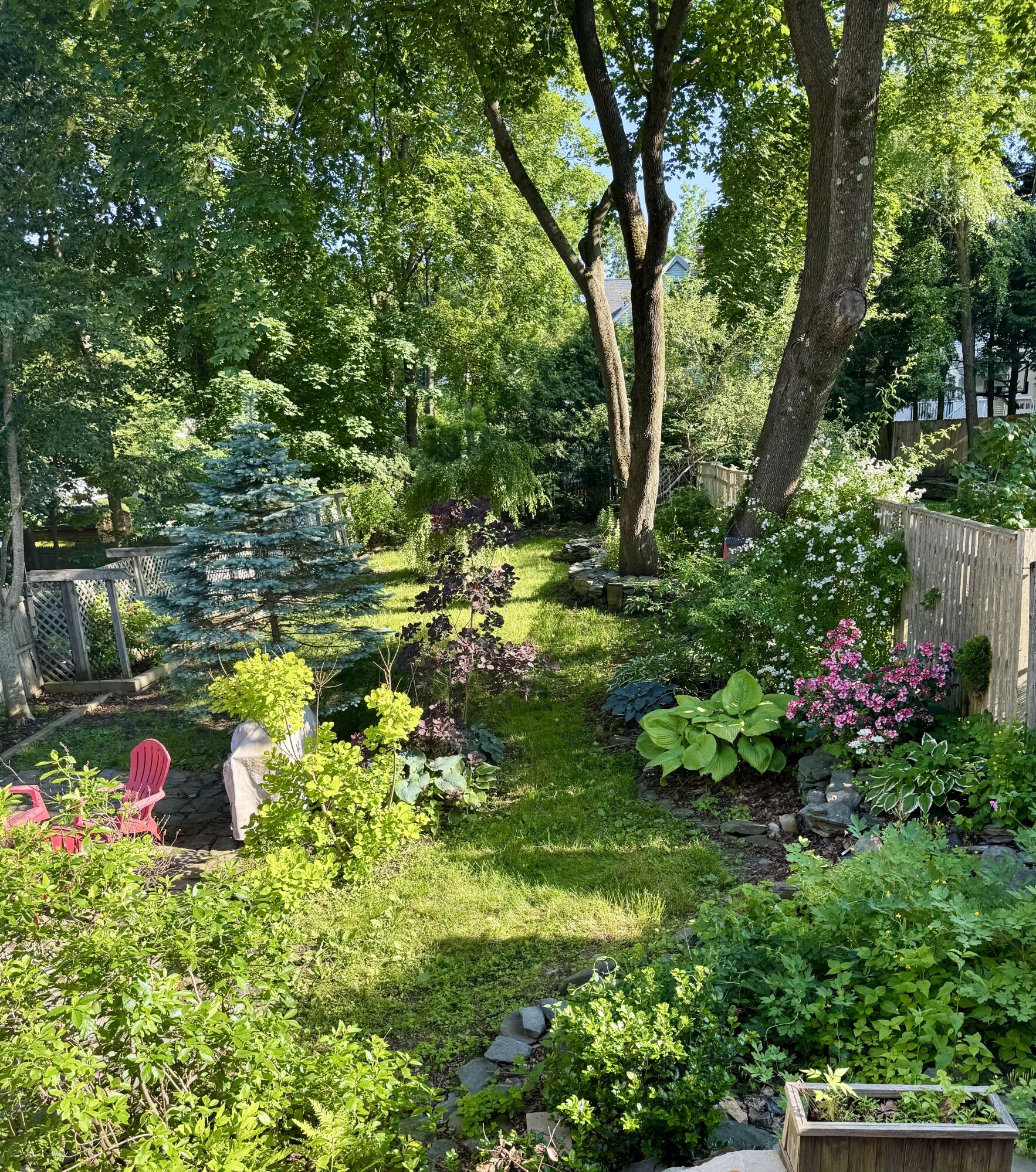 206 Coyle Street, 1