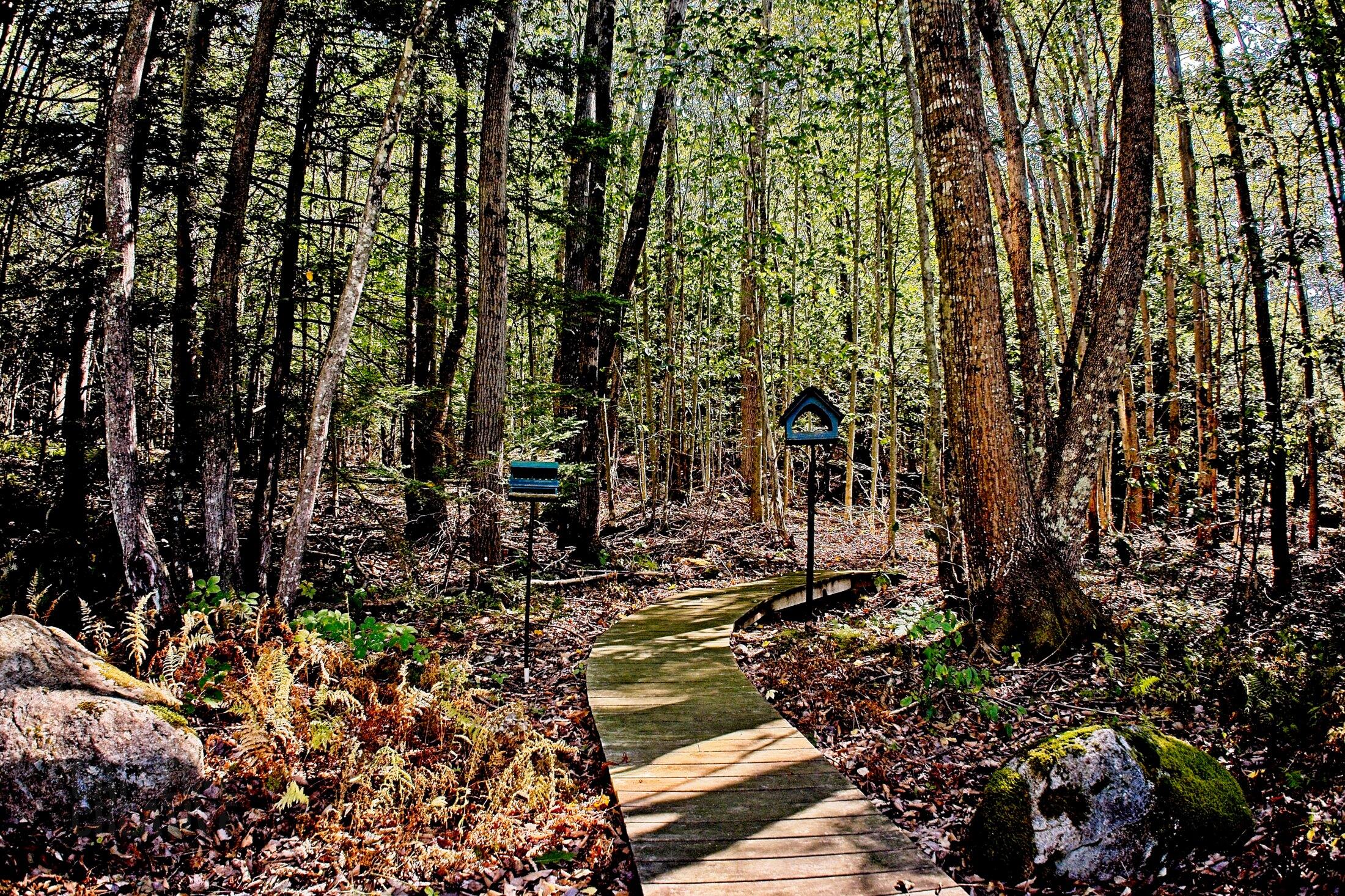 566 Pinkham Brook Road, Durham