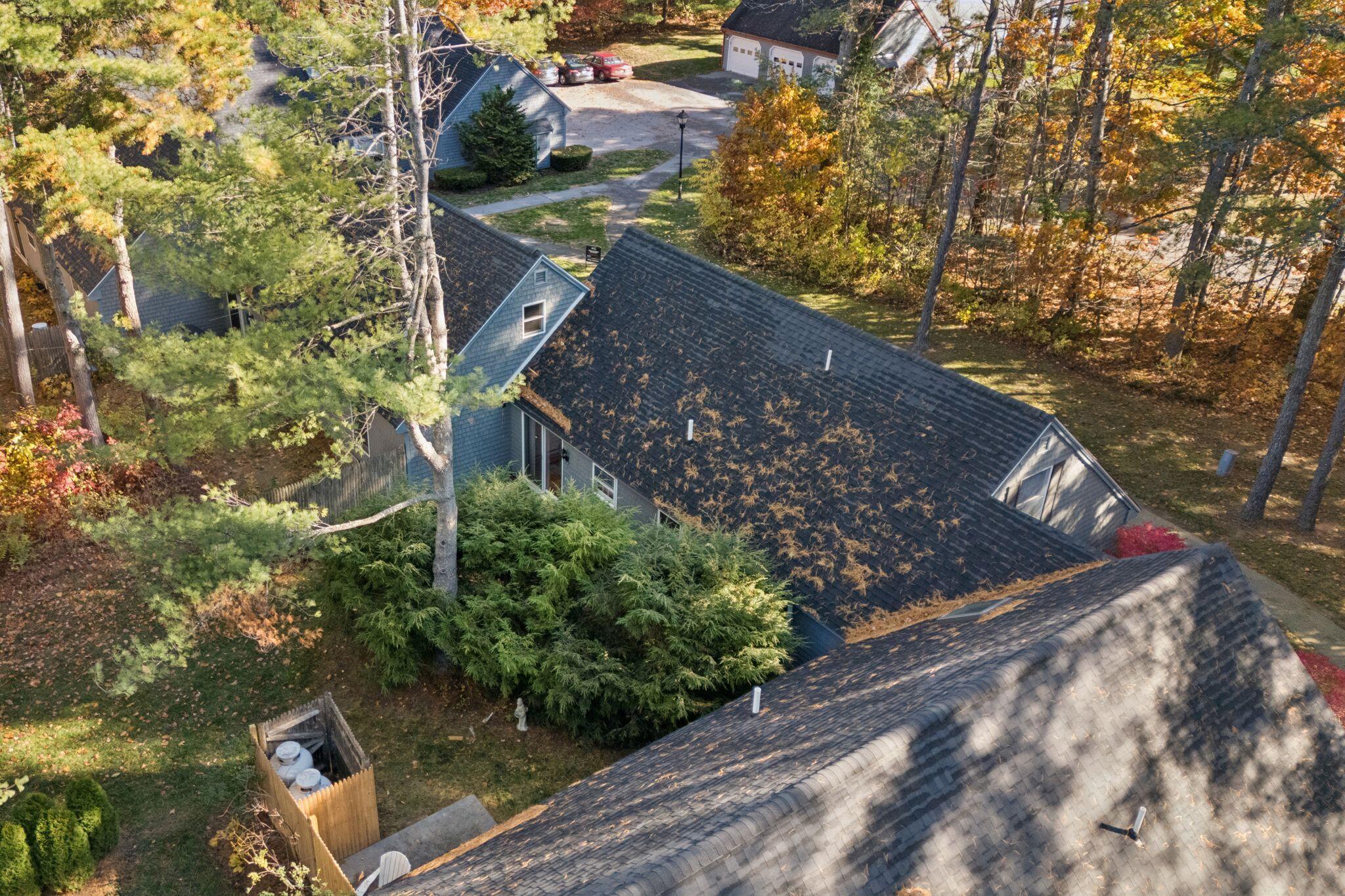 19 Ward Circle, 19