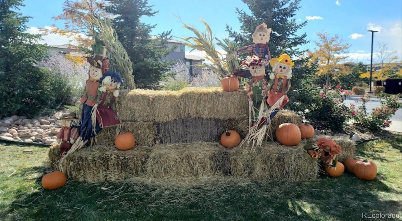 14027 Touchstone Street