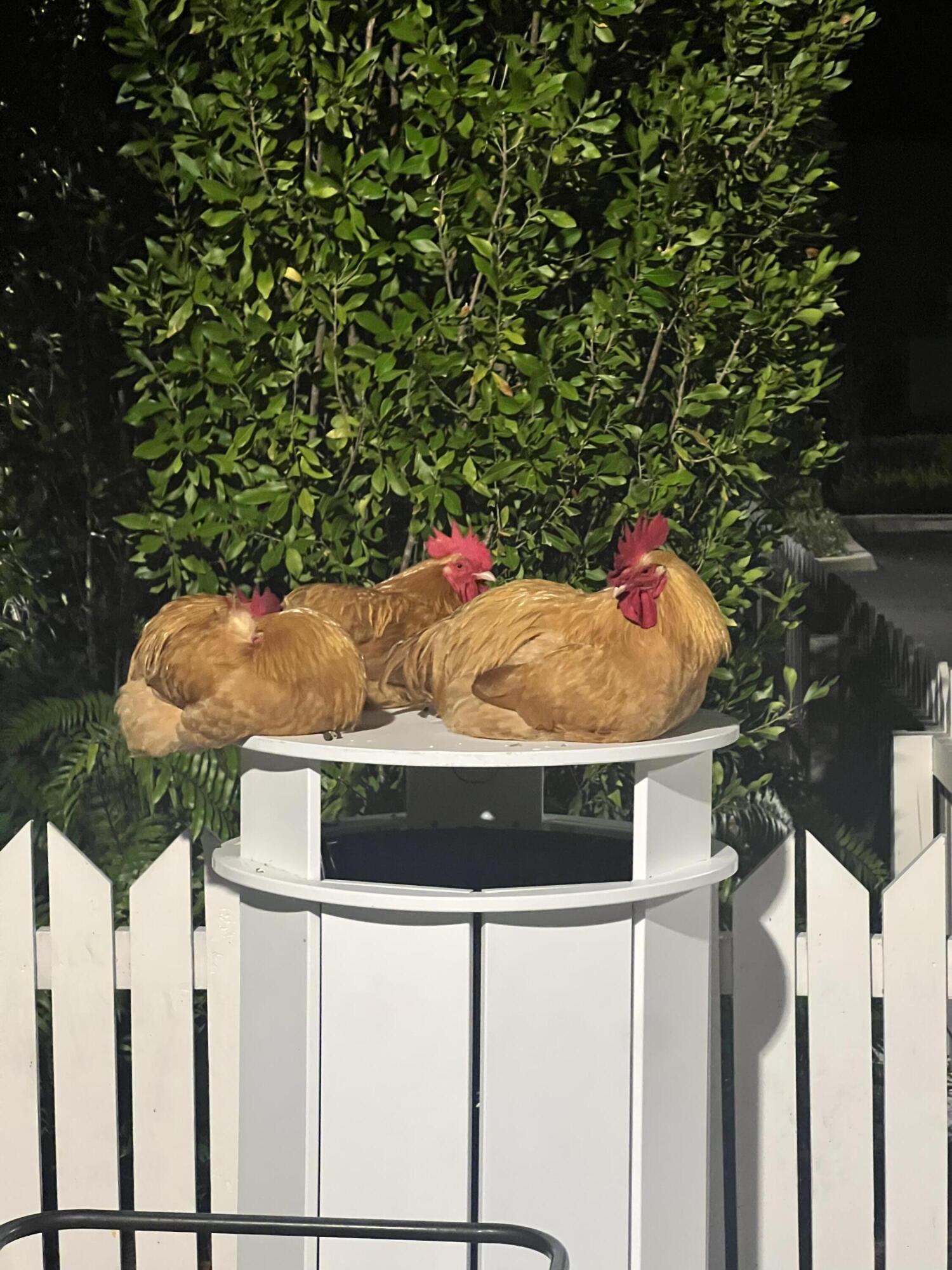 5950 Peninsular Avenue Unit: 668