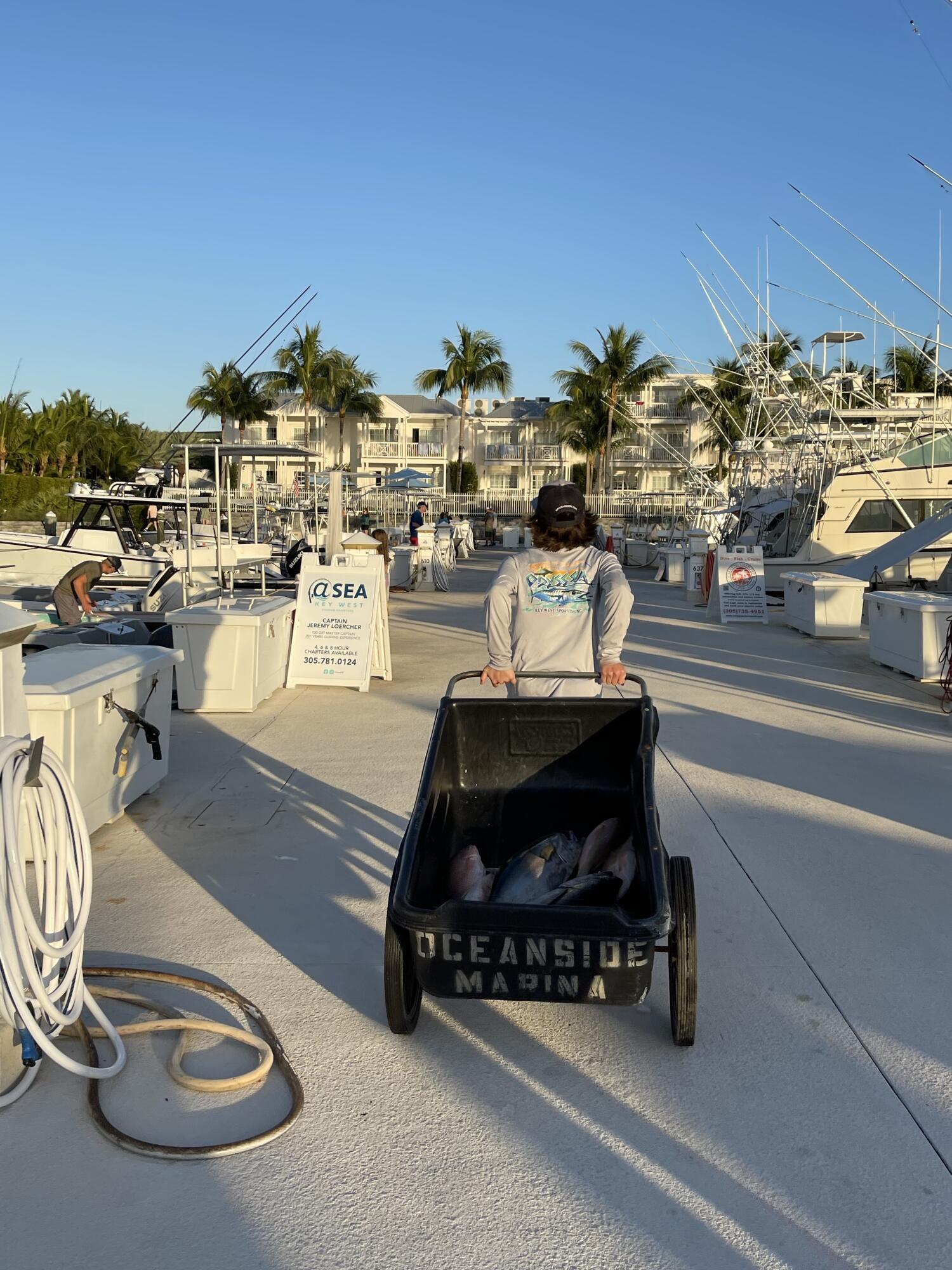 5950 Peninsular Avenue Unit: 668