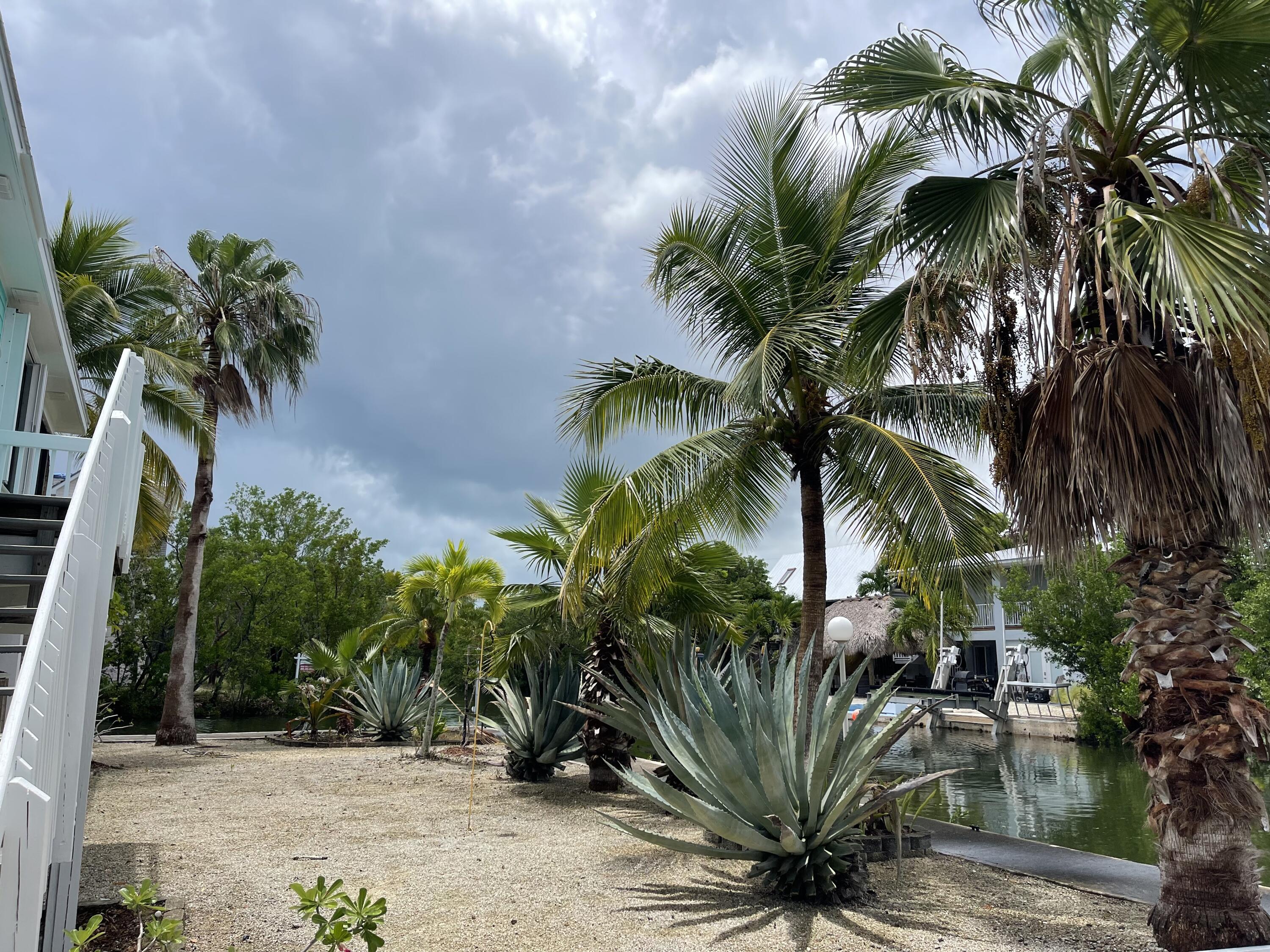 29006 Marigold Drive