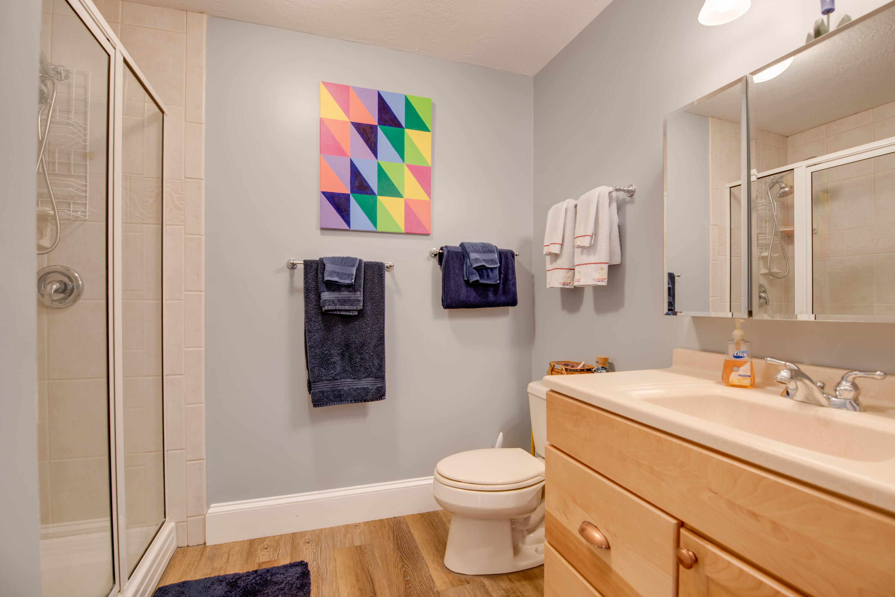 22822 John Silver Lane