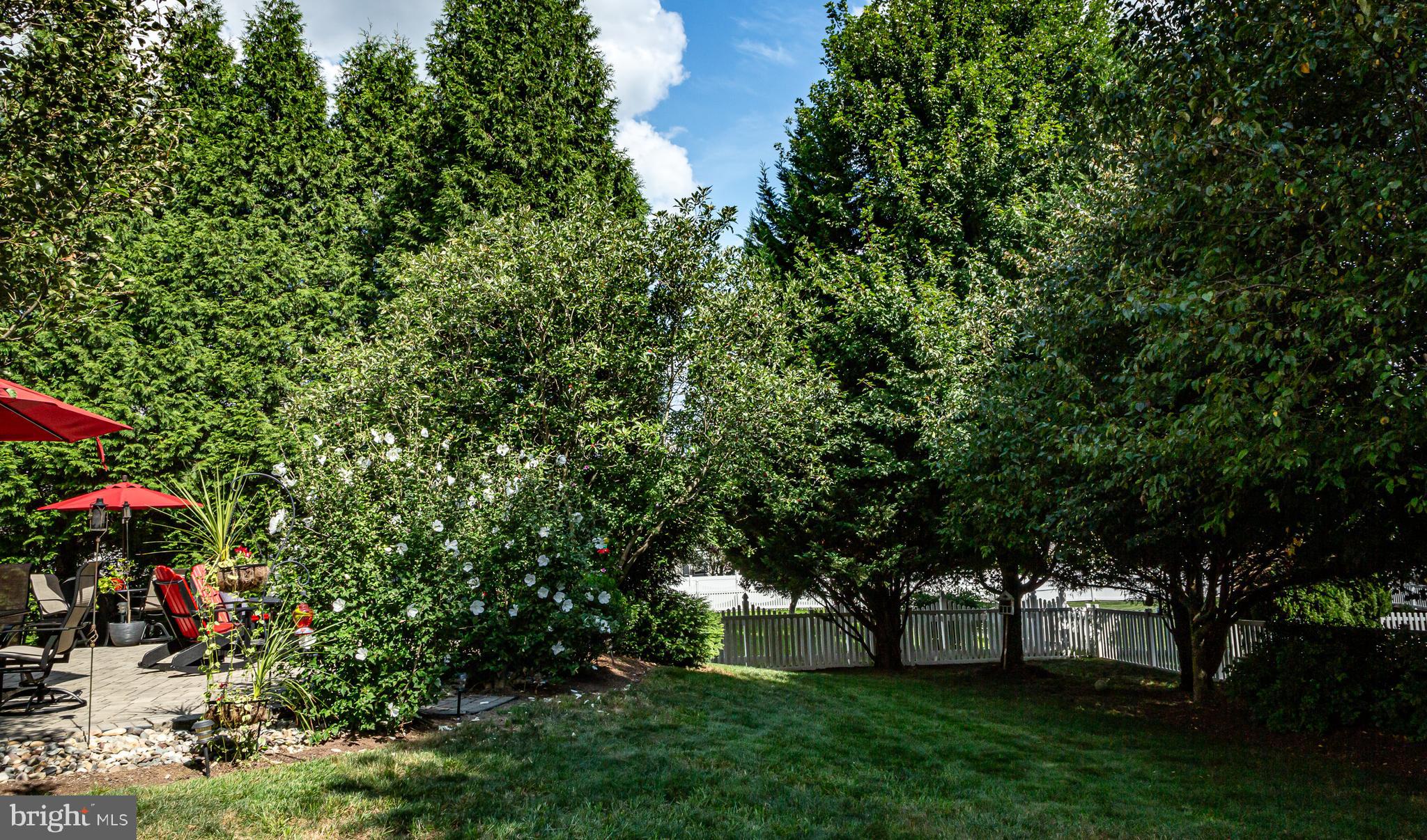 1019 RIVERWALK DRIVE