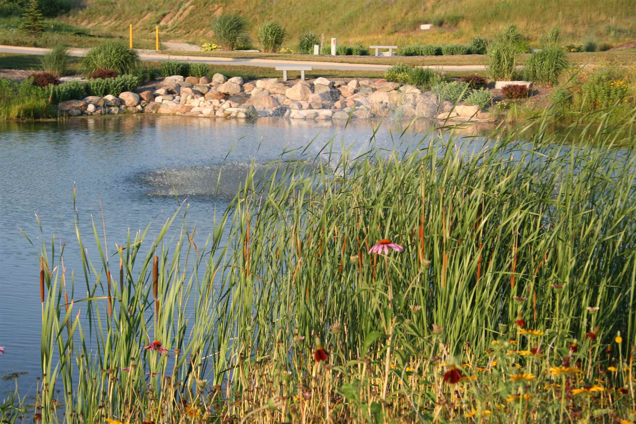 TBD LAKE TAHOE Trail