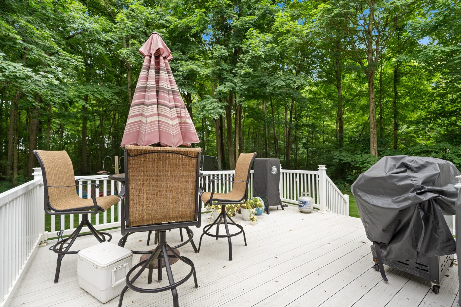 3429 W Doe Court