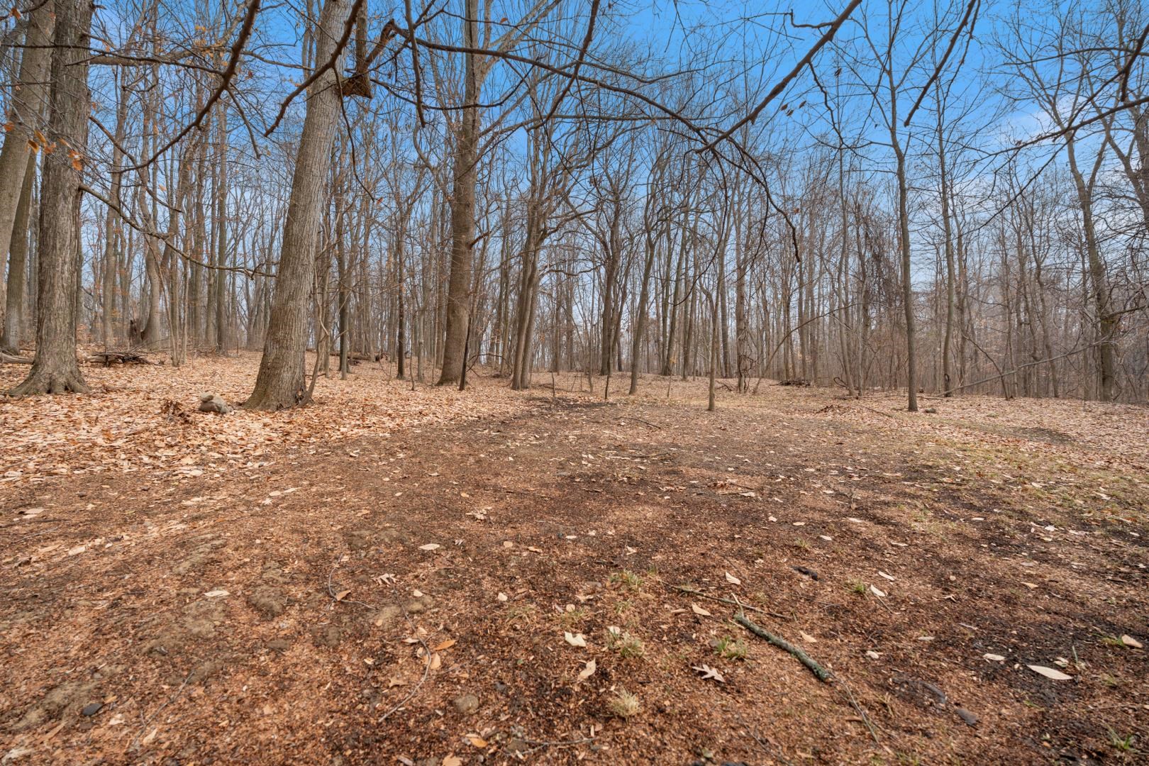 6958 N Kalorama Road