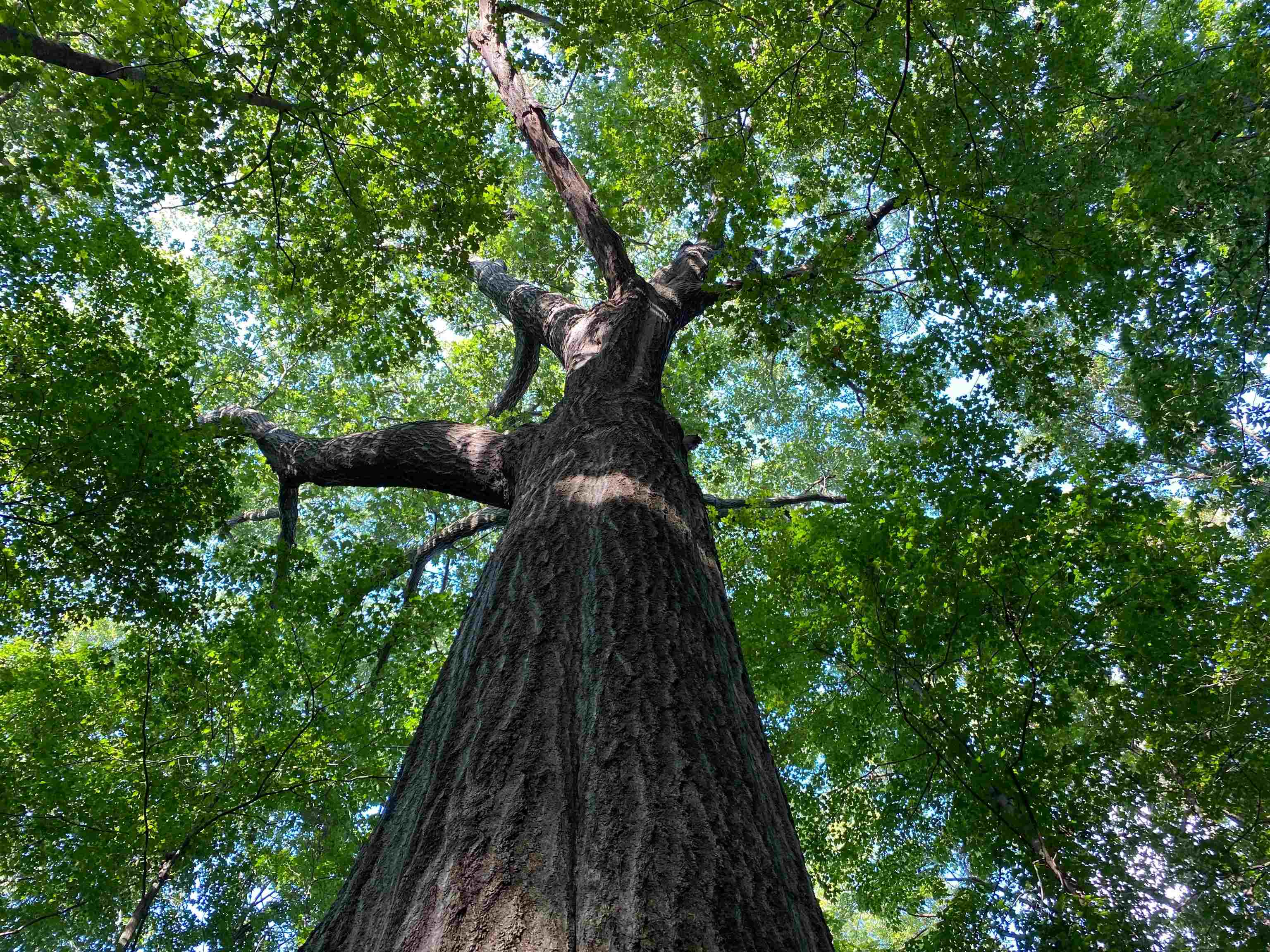 6958 N Kalorama Road