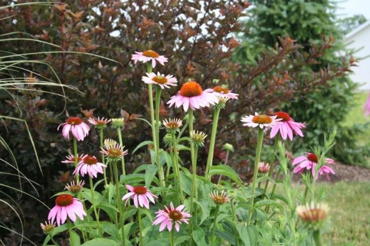 2252 Highlander Drive