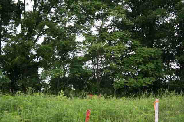 2271 Highlander Drive