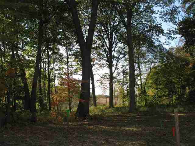 2271 Highlander Drive