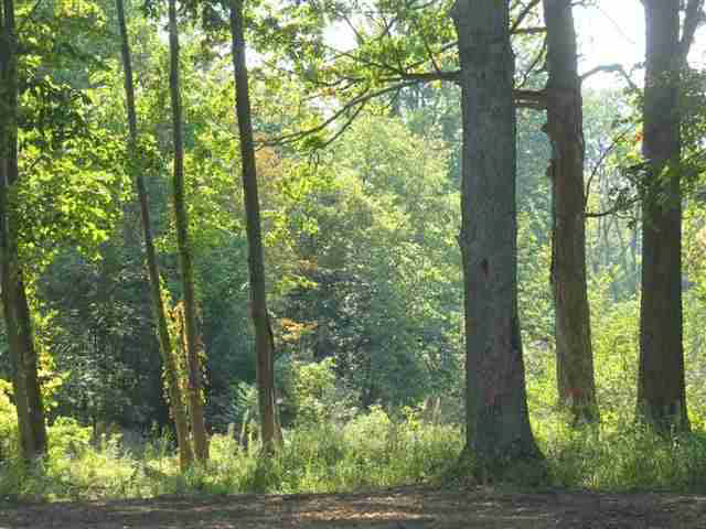 2265 Highlander Drive