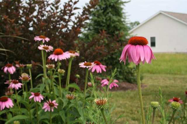 2265 Highlander Drive