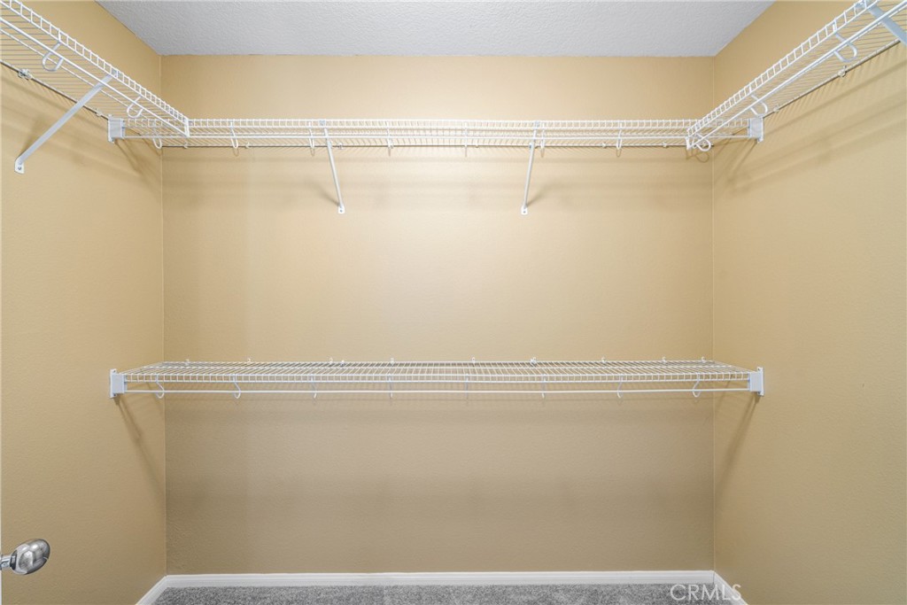 27562 Hackberry Street