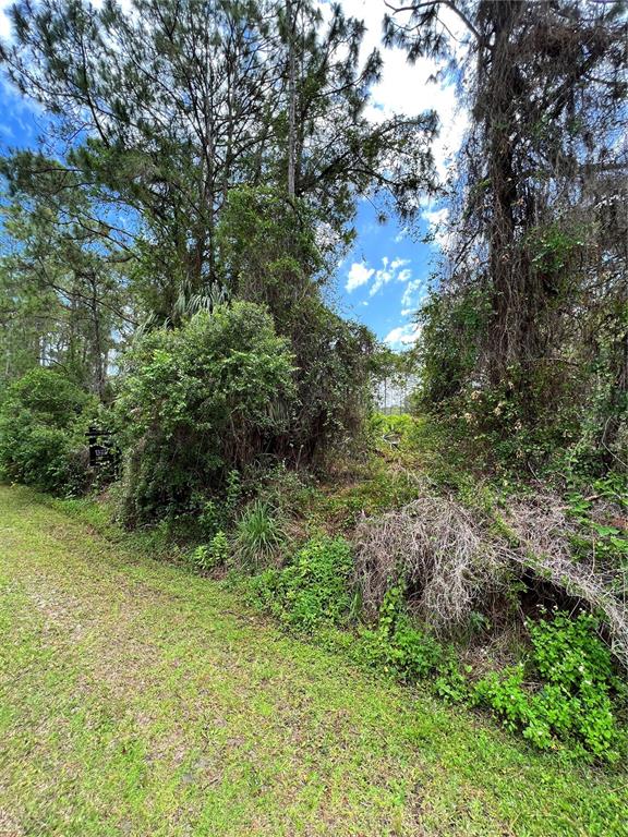LANDRUM STREET