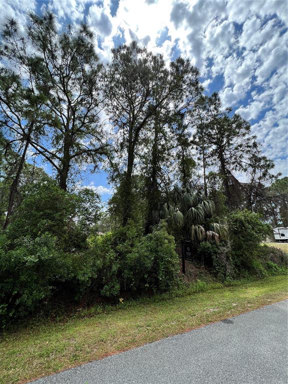 LANDRUM STREET
