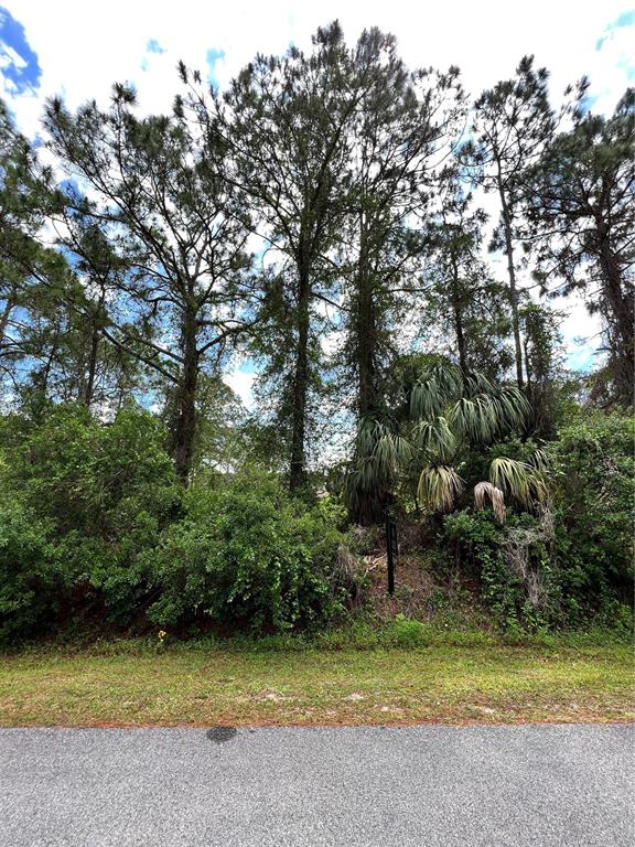 12289 GREENLEAF LANE