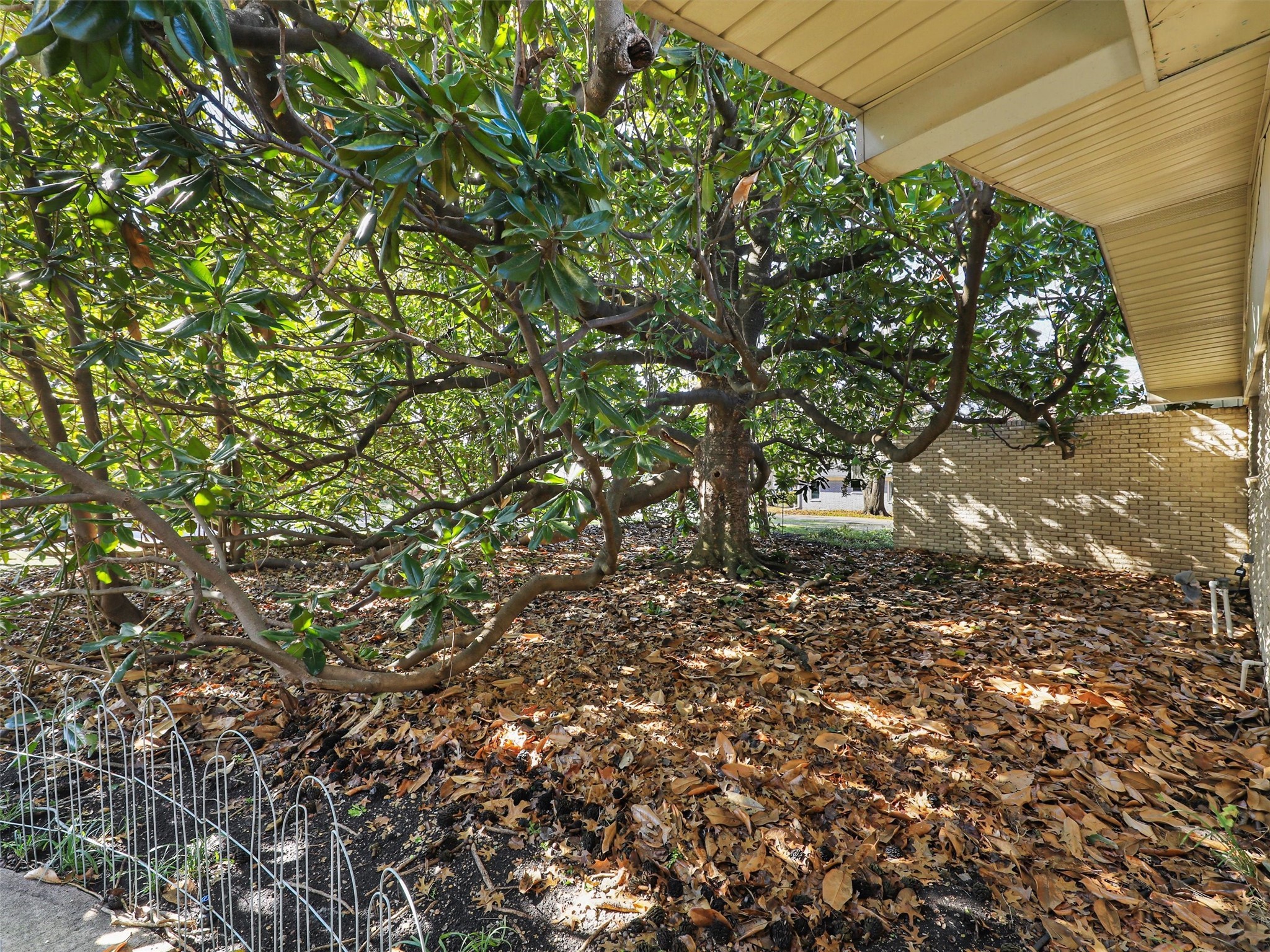 1102 N Graves Street