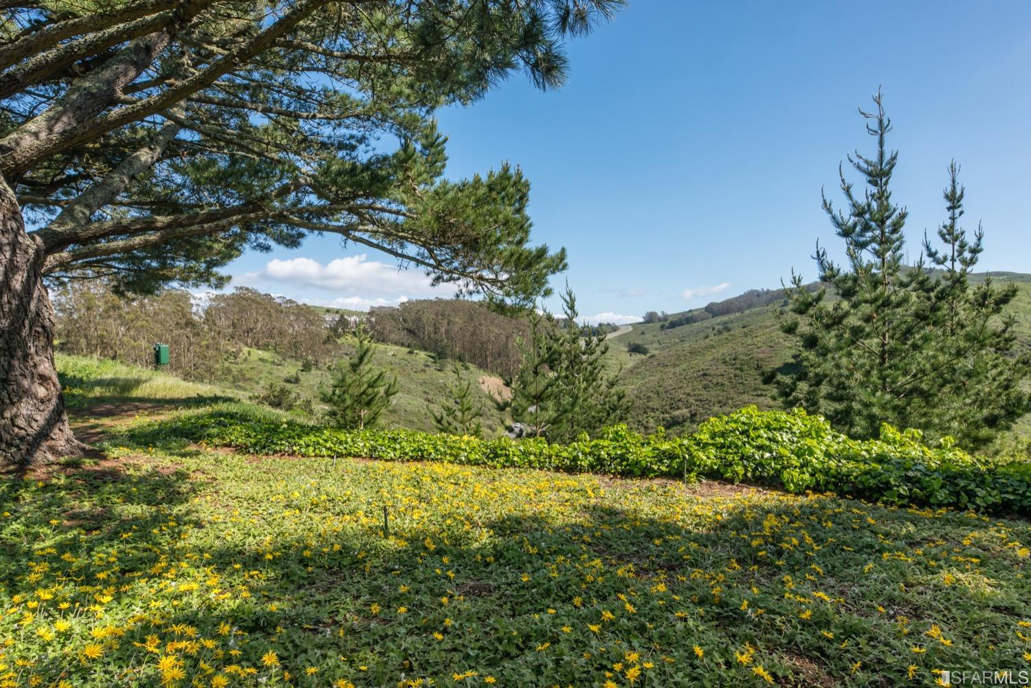 323 Green Ridge Drive Unit: 4
