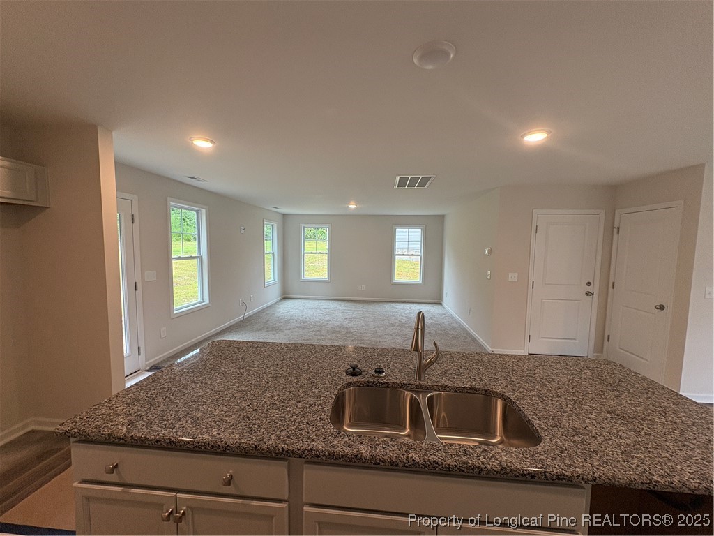 238 Appaloosa Drive