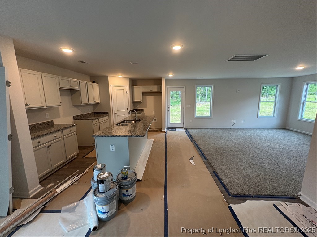 238 Appaloosa Drive