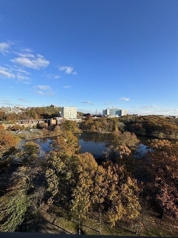 77 Pond Ave # 1402