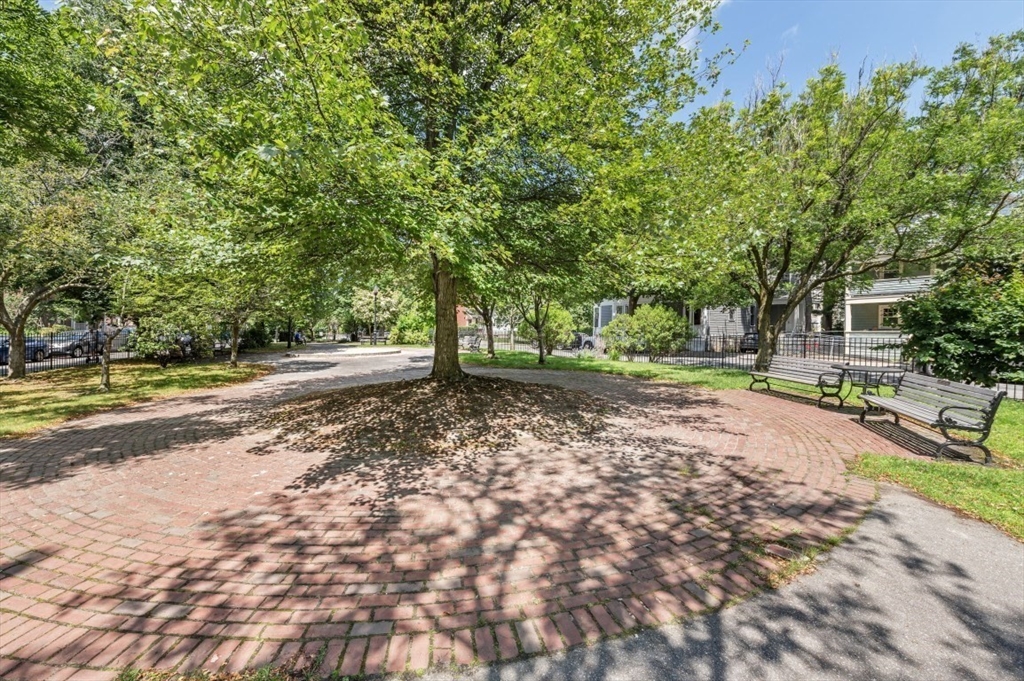 14 Linden St # 8 Unit: #8