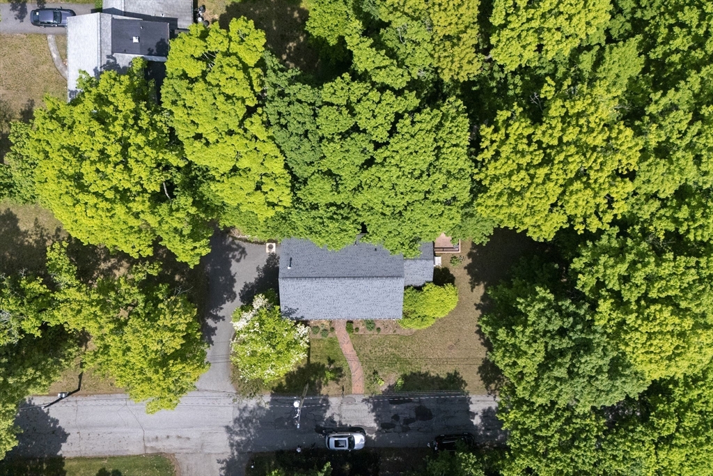 2 Laurel Street