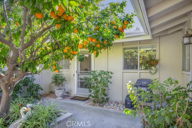 552 Avenida Sevilla Unit: B