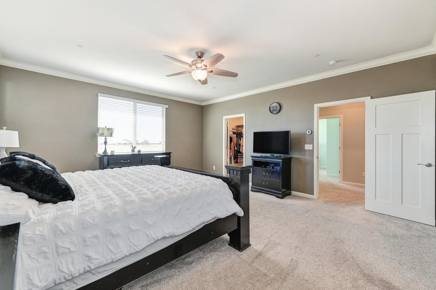 3790 Rockdale Drive