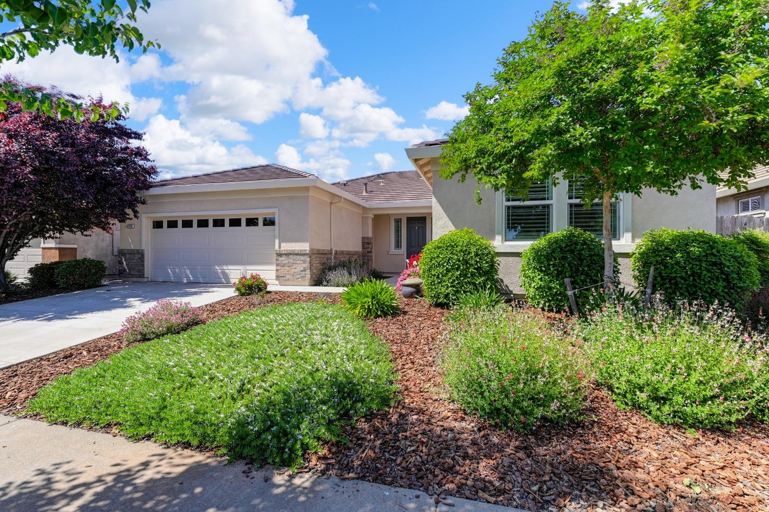 4226 Borderlands Drive