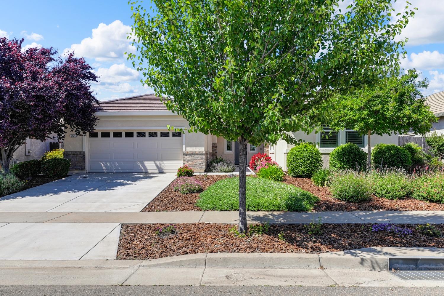 4226 Borderlands Drive