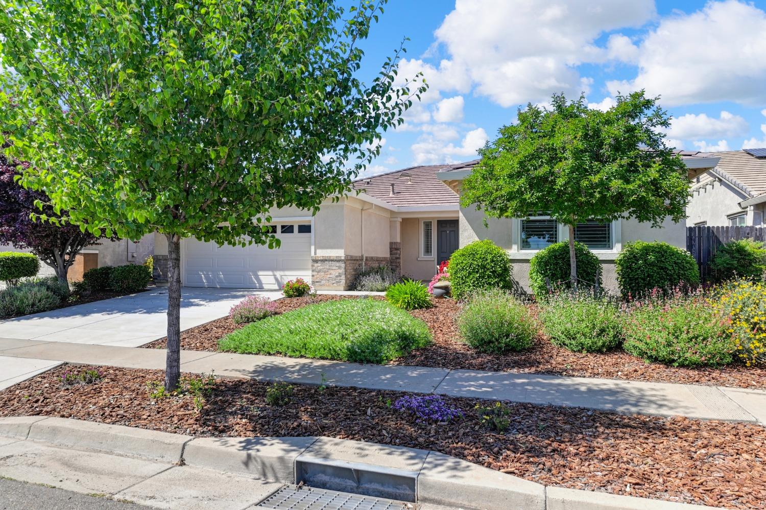 4226 Borderlands Drive