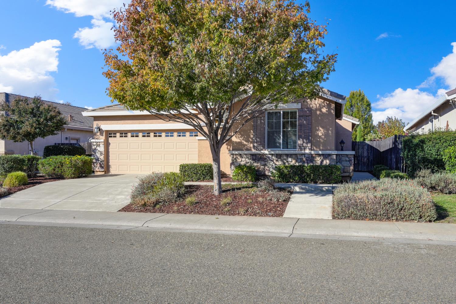 4038 Pinoche Peak Way