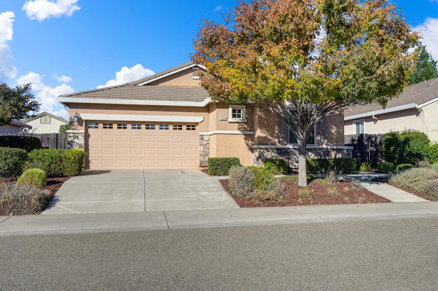 4038 Pinoche Peak Way