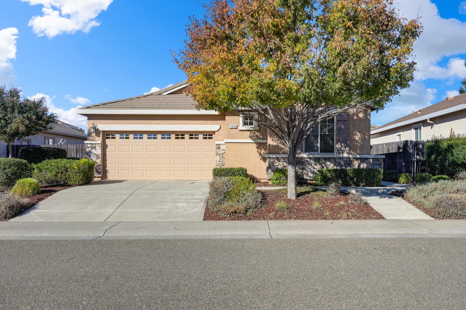 4038 Pinoche Peak Way