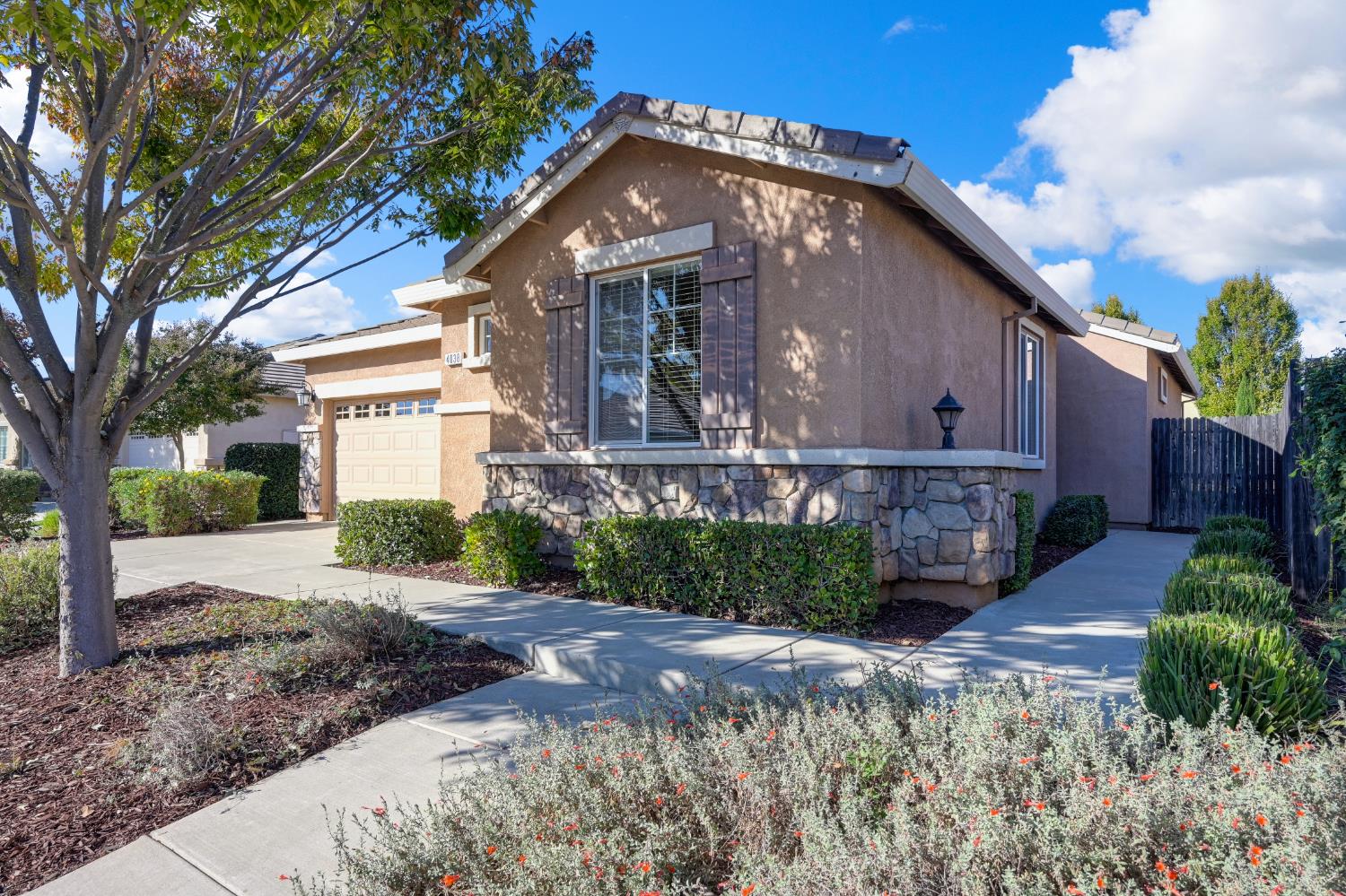 4038 Pinoche Peak Way