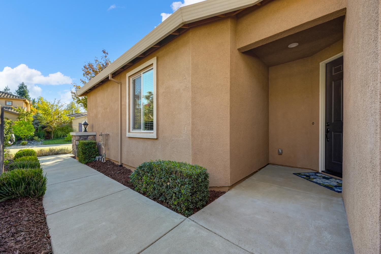 4038 Pinoche Peak Way