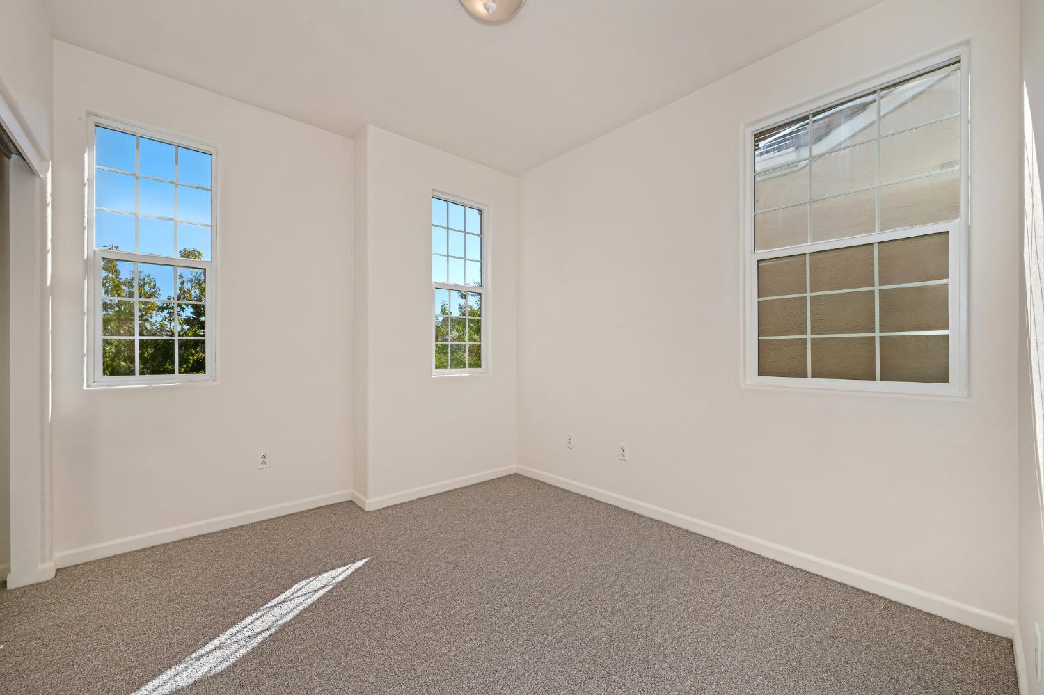 Empty carpeted room with three grid-pane windows and sunlight across the floor.