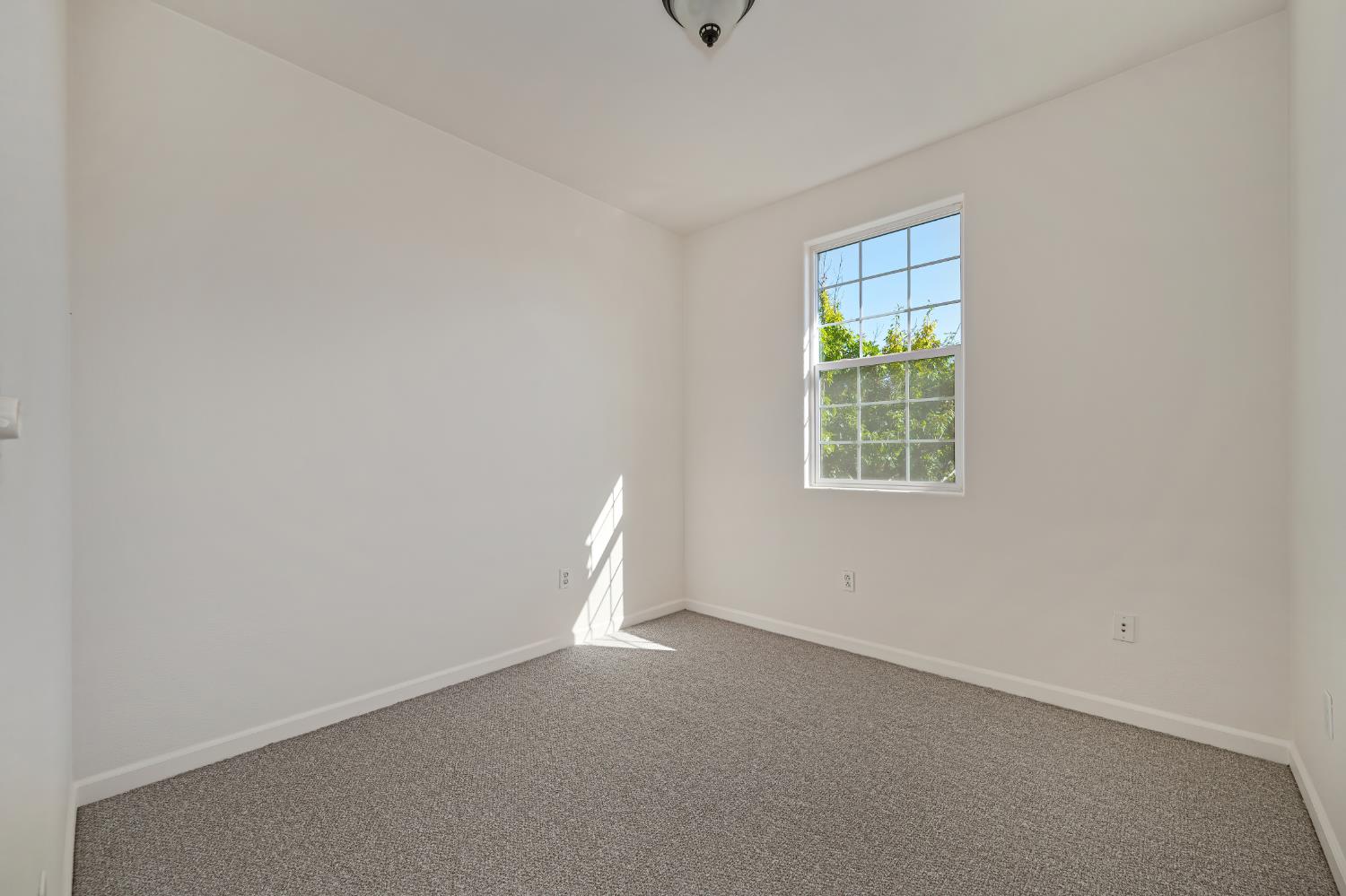 Empty bedroom with beige carpet and a sunlit grid-pane window.