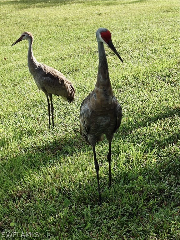 131 Ocean Park Drive