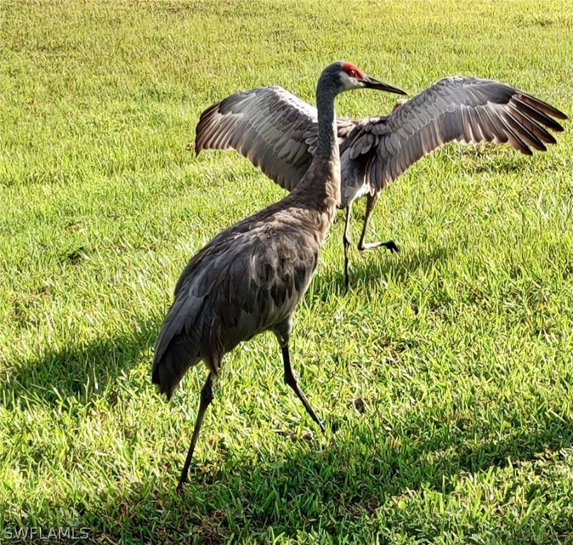 131 Ocean Park Drive